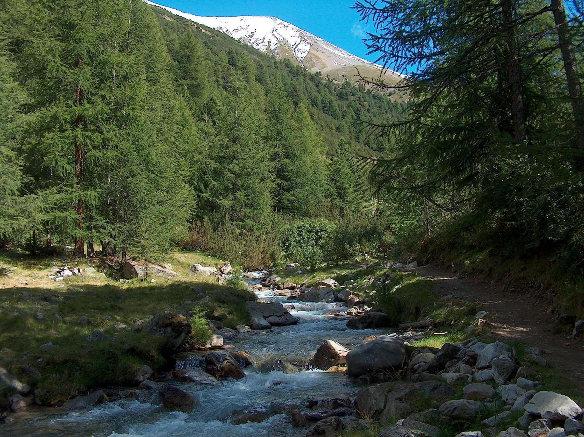 Hotel Duc De Rohan Livigno Kültér fotó