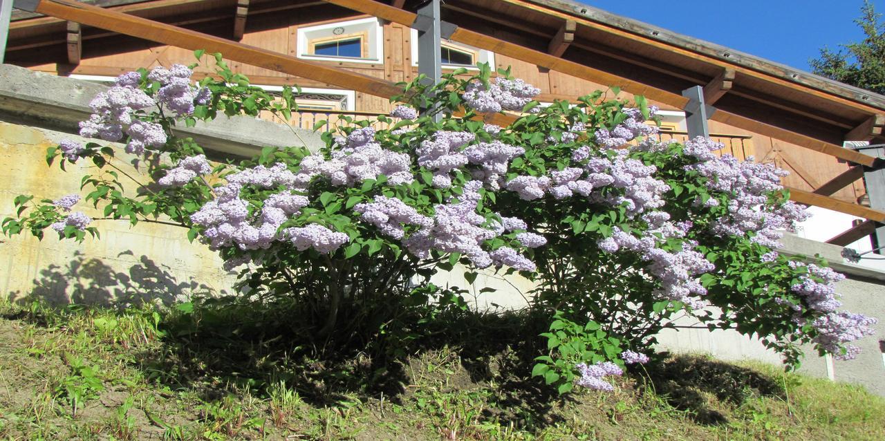 Hotel Duc De Rohan Livigno Kültér fotó